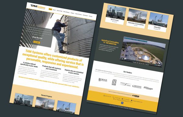 TAM Systems Website - 01