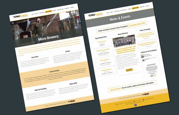 TAM Systems Website - 02