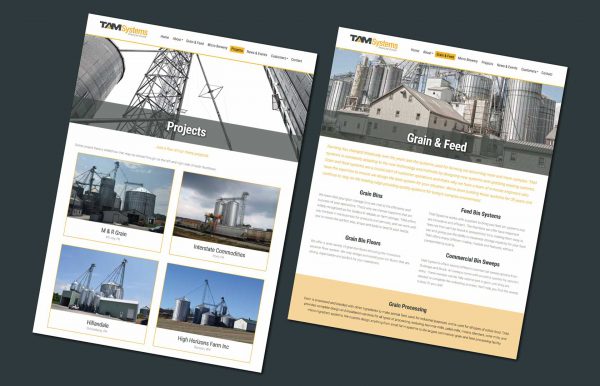 TAM Systems Website - 03