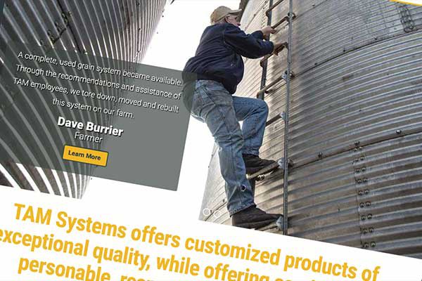 TAM Systems Website